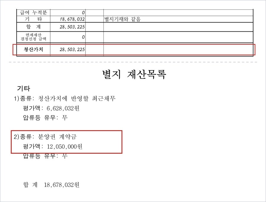 A씨의 재산목록 — 별지 기타 항목 분양권 계약금 평가액 12,050,000원, 청산가치 28,503,225원